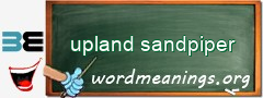 WordMeaning blackboard for upland sandpiper